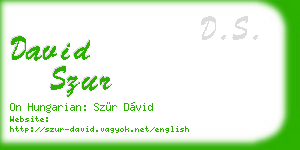 david szur business card